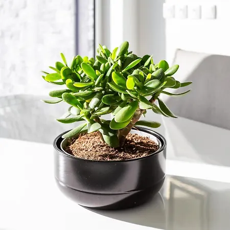 Aroeira Luxury Azul Villa, Lisboa, Beach, Surfing, Golf, Exploring, Hiking, Fishing